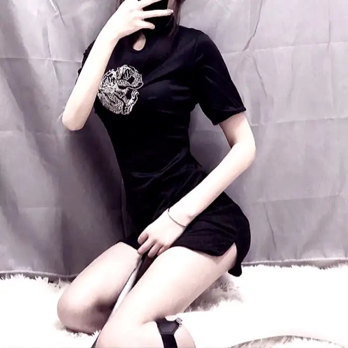 完美的主人