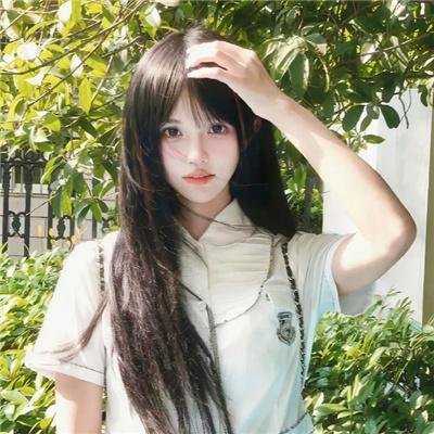 狮路历程